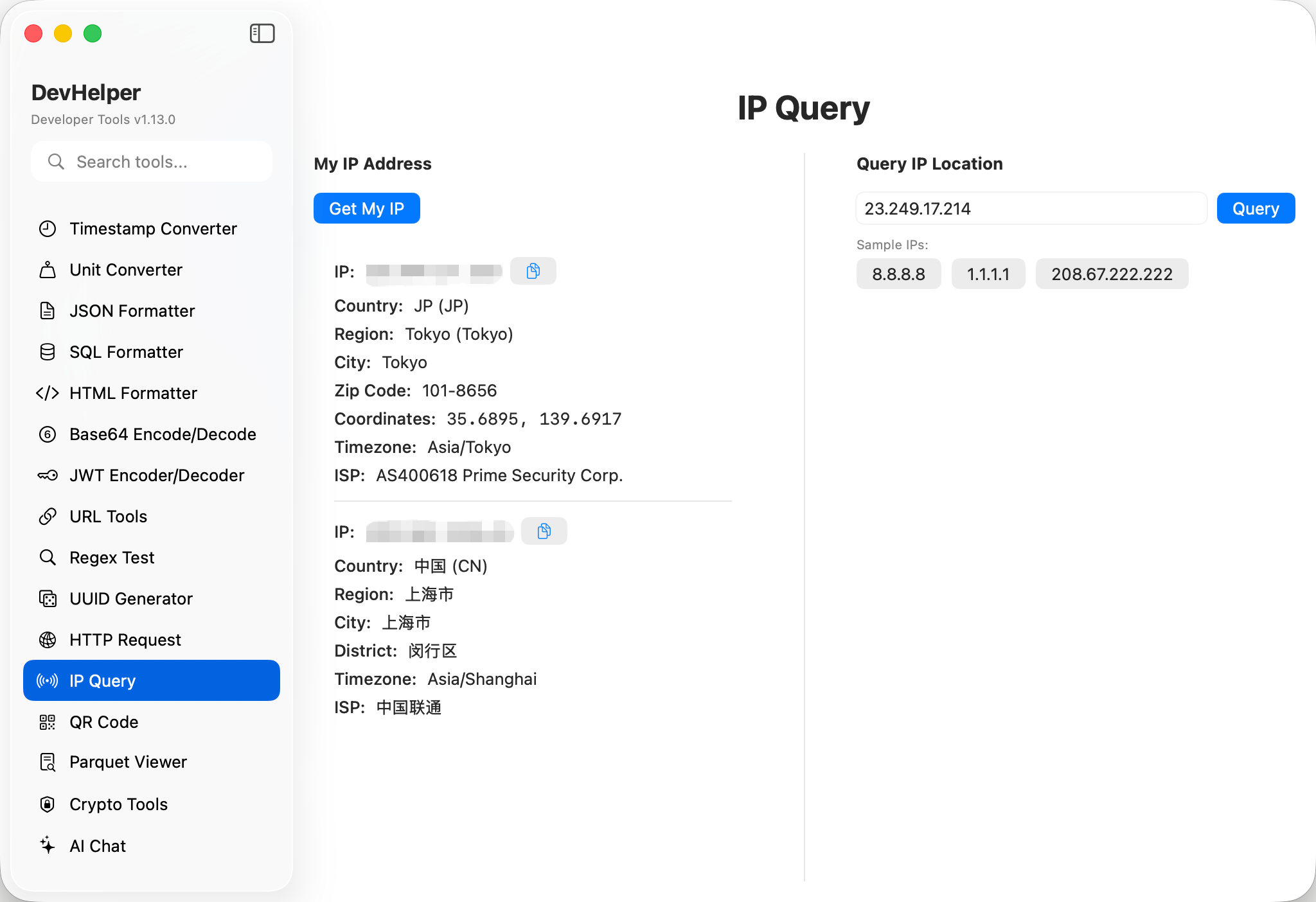 IP Query Screenshot