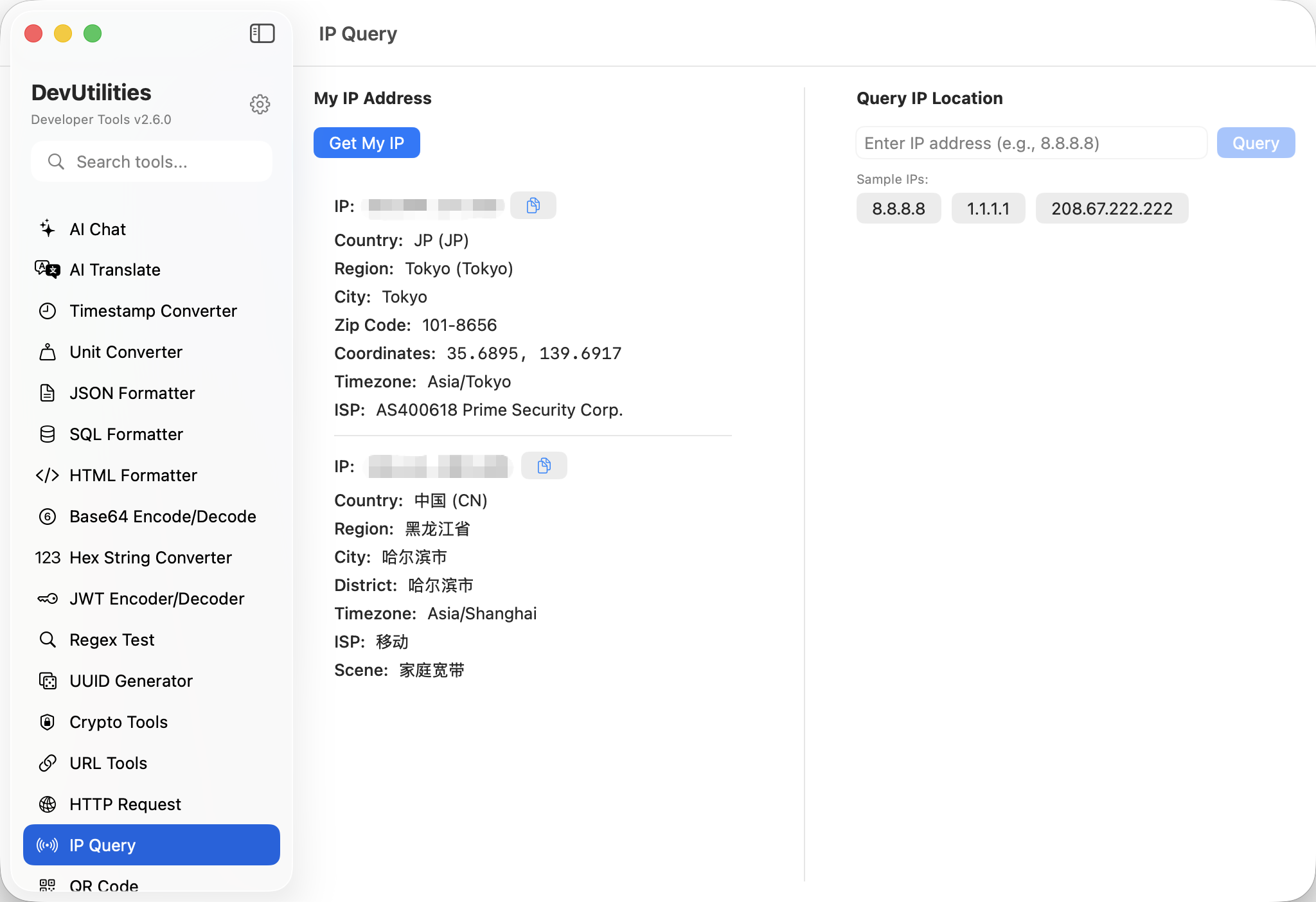 IP Query Screenshot